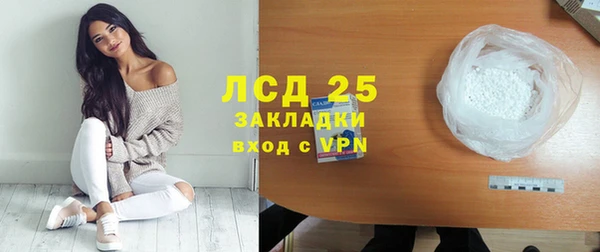 хмурый Алексин