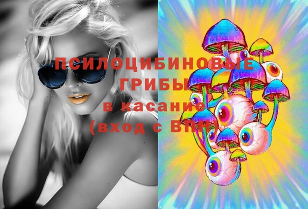 a pvp Алзамай