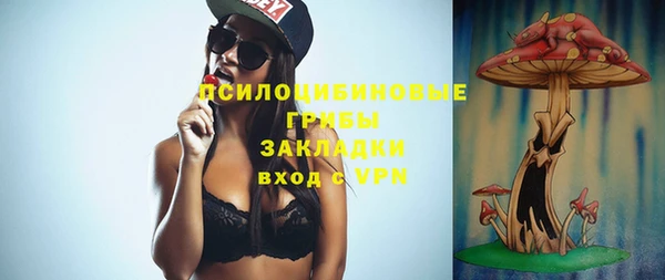 хмурый Алексин