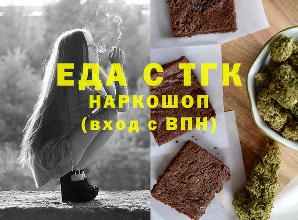 хмурый Алексин
