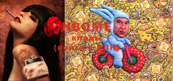 гидра Алексеевка