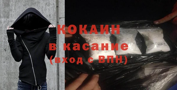хмурый Алексин