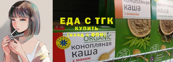 хмурый Алексин